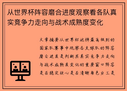 从世界杯阵容磨合进度观察看各队真实竞争力走向与战术成熟度变化